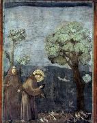 Giotto, Sermon to the Birds